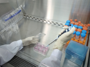 化妝品毒理學評價